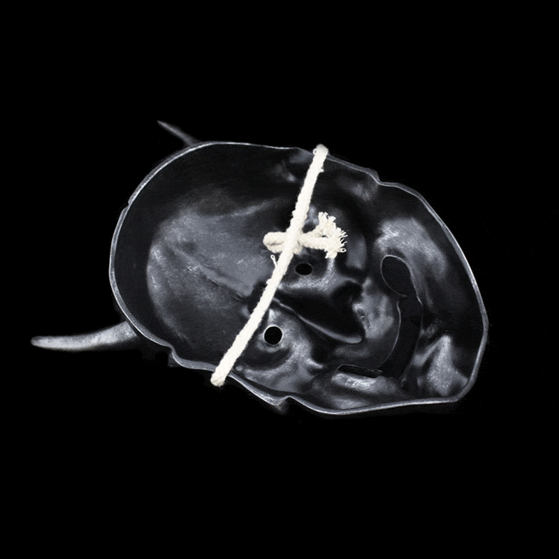 Hand-Made Japanese Hannya 凛凛蝶 Resin Oni Mask