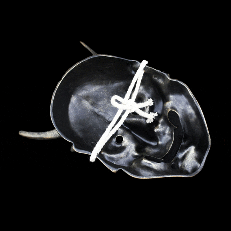 Hand-Made Japanese Hannya 凛凛蝶 Resin Oni Mask